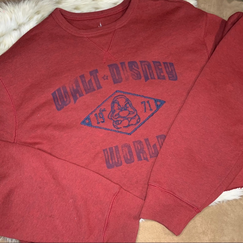 Walt Disney world grumpy sweater